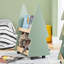Casswell 64cm W Kids Bookcase