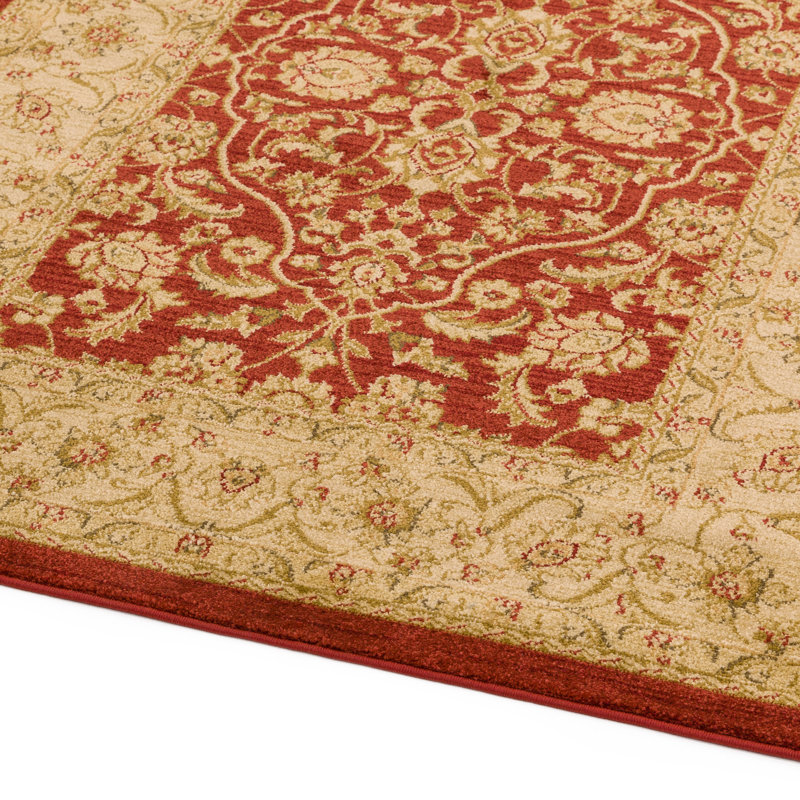 Aguilar Oriental Area Rug, Rectangle 200 x 300cm
