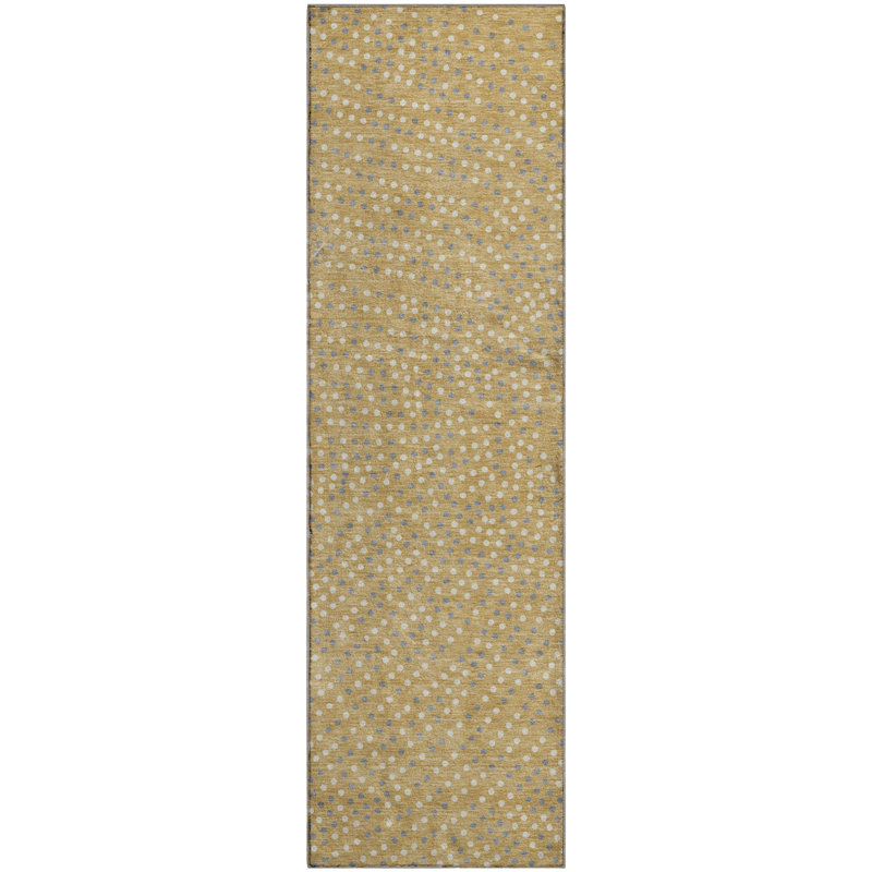 Tapis de qualité supérieure lavable à la machine Colmenero AMF1021, Tapis de couloir 2 pi 3 po x 7 pi 6 po