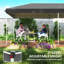 Pop Up Canopy-1285604005