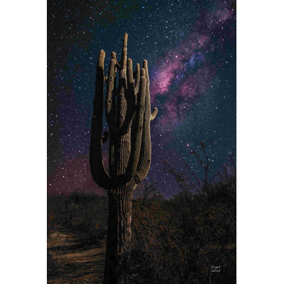 " Desert Nights "