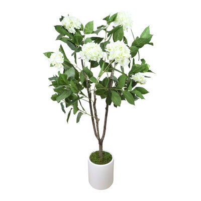Hydrangea Tree in Fiberstone Pot