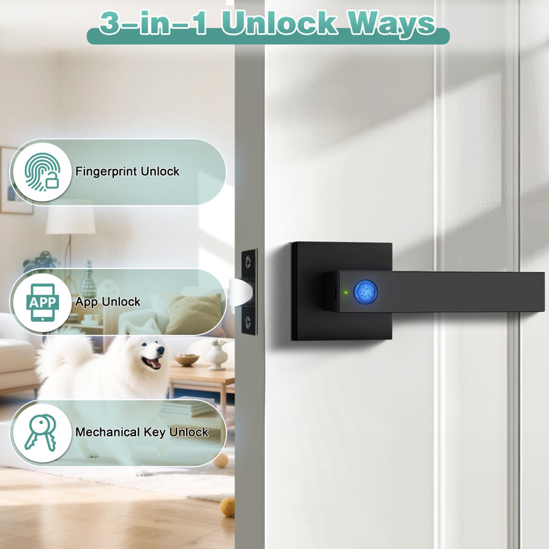 Probrico Fingerprint Door Lock Biometric Electronic with Smart Lock Keyless Entry Door Handle Lock with App, Matte Black