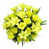 Jaune est en rupture de stock