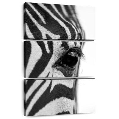 Brampt Close-Up Of A Zebra