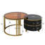 Aveanna Coffee Table with Storage-1499699058-1499699057