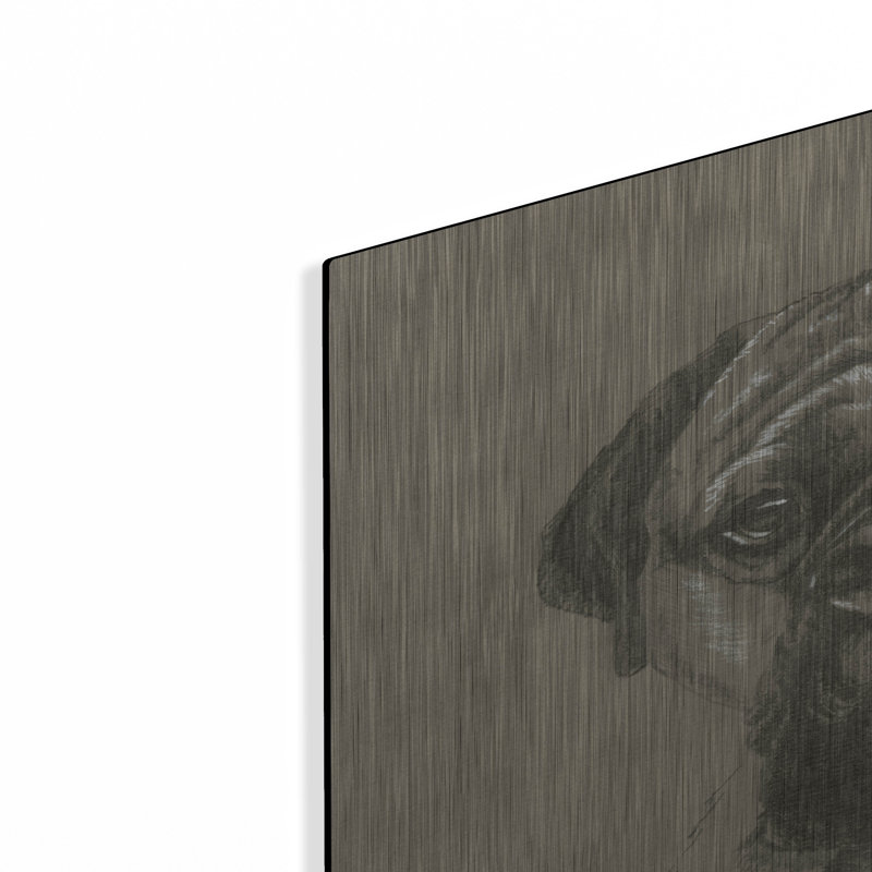 "Bull Mastiff" par Barbara Keith, H 36 po x l 24 po