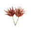 Fern Bundle (Set of 2)-214120561