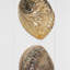 Ensemble de décoration murale Abalone & Pearl