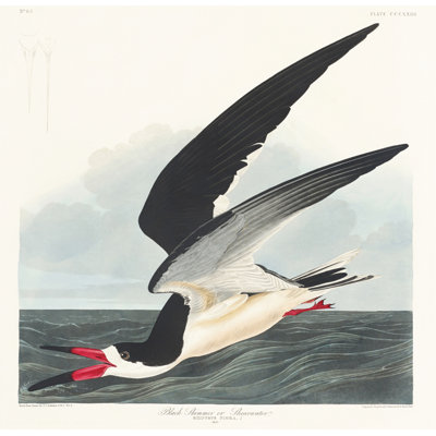 1 Piece Wrapped Canvas Wall Art