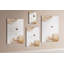 Wall Mounted Cork Board