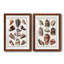 Toile encadrée avec coquillages collectés - prêt à accrocher-533082421-533046679-533082427