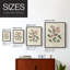 Pressed Arrangement II, reproduction encadrée - bois massif-788587305-788587316