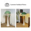 Vert / plastique cristal-crème + lampes sur pied sans résine