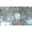 Sutherland Animal Print Cowhide 150cm X 200cm Area Rug