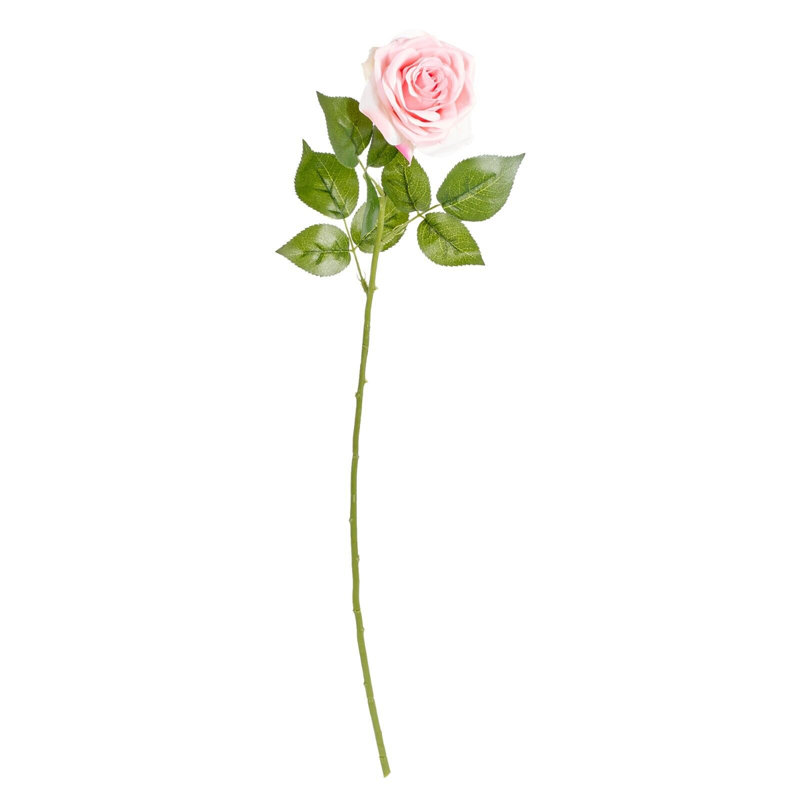 Rose Arrangement