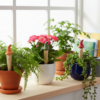 Arrosage de plantes en céramique avec capteur, ensemble de 3 têtes de champignon