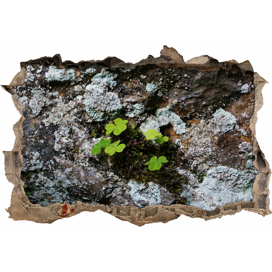 Tiny Clover Leaves on Soil Wandaufkleber