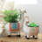 Rolen Ceramic Statue Planter