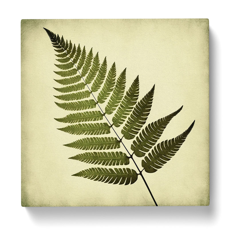 Fern Leaf Retro Art - Wrapped Canvas, 35cm H x 35cm W x 3cm D