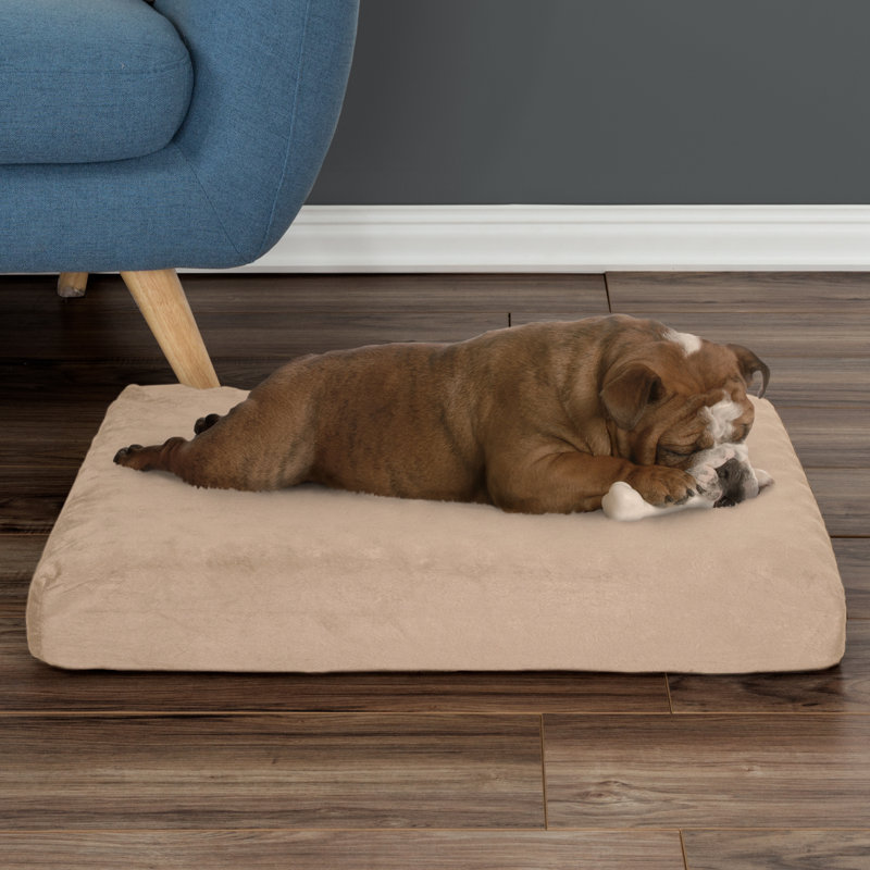 Lit pour chien orthopédique à 2 couches PETMAker, Brun clair, Petit (l 19 po x P 26 po x H 4 po)