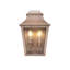 Lanterne murale d'extérieur Hazeldell-24030975-24030976