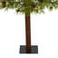 Lighted Artificial Christmas Tree-1736008116
