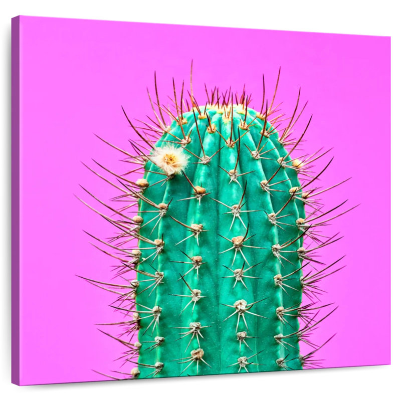 Harnek Floral Cactus, 24" H x 24" W