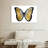Butterfly In Metallic I-107887294