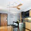Ventilateur de plafond 52 po sans télécommande