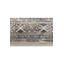 Mahal Oriental Area Rug in Gray/Brown/Beige-71012732