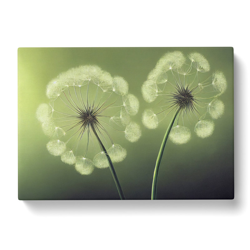 Soulful Dandelion Flowers - Wrapped Canvas Print, 50cm H x 76cm W x 3cm D