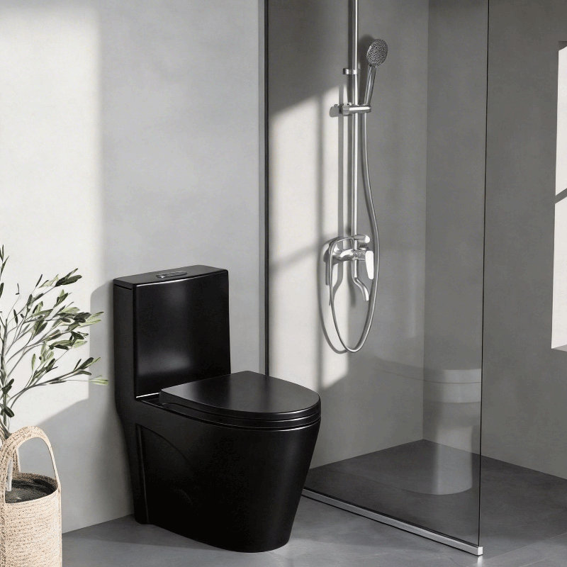 Toilette allongée une pièce à double chasse 1,1 / 1,6 GPF avec 16,14 po | Siphon Jet, Noir