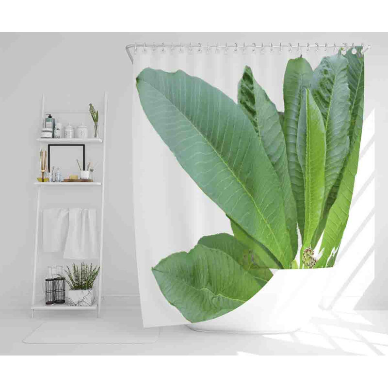 Minwoo 13 Piece Polyester Shower Curtain Set
