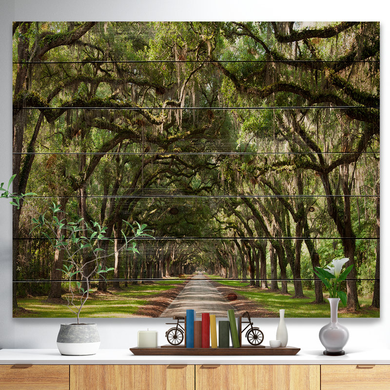 Live Oak Tunnel - Imprimé, H 36 po x l 46 po x P 0,78 po, Bois sans cadre