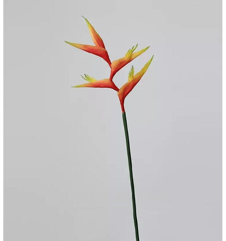 Tige d'héliconia tropicale - 32 po, [B] 3 tiges, Crimson Red