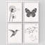 "Ensemble de vol d'oiseaux et de colibris"-101519804-101519805
