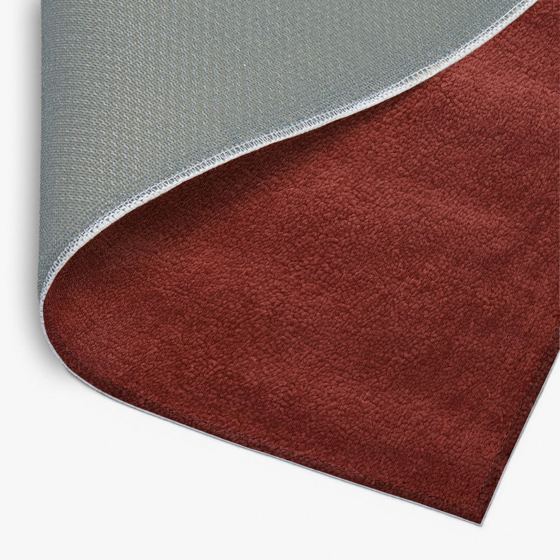 Solid Brown Indoor and Outdoor Area Rug, Rectangle 4' x 6'