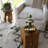 Solid Wood Accent Stool