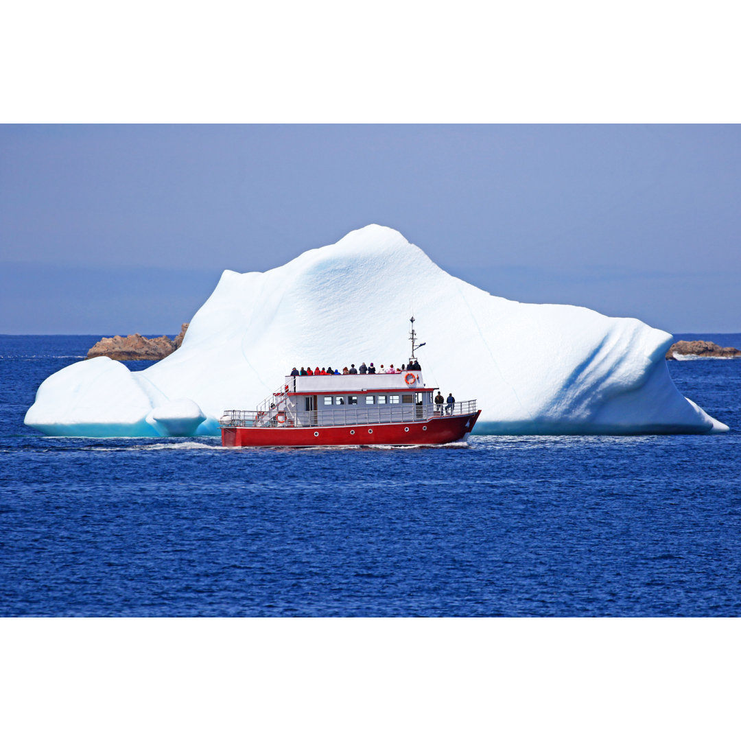 Iceberg Tour by BirdImages - Drucken