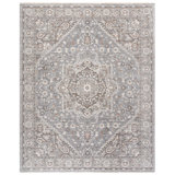 Oriental Area Rug in Grey / Blue