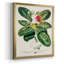 Toile encadrée de qualité supérieure Imperial Tropical Botanical I - prête à être accrochée-100458568-100458567