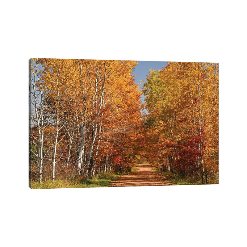 Country Road by Brian Wolf - Wrapped Canvas Print, 20.32 cm H x 30.48 cm W
