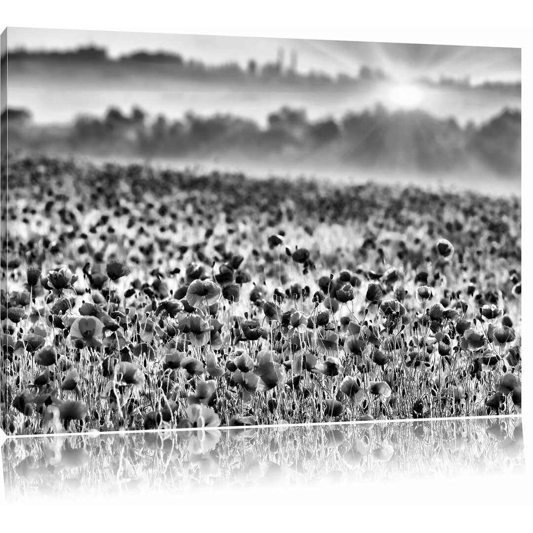 Leinwandbild Wunderbare Mohnwiese im Sonnenschein in Monochrom