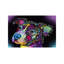Dean Russo - Wrapped Canvas Print-50017606