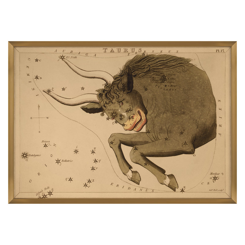 Taurus Print by Grand Archives, 32" H x 45" W, Gold Framed