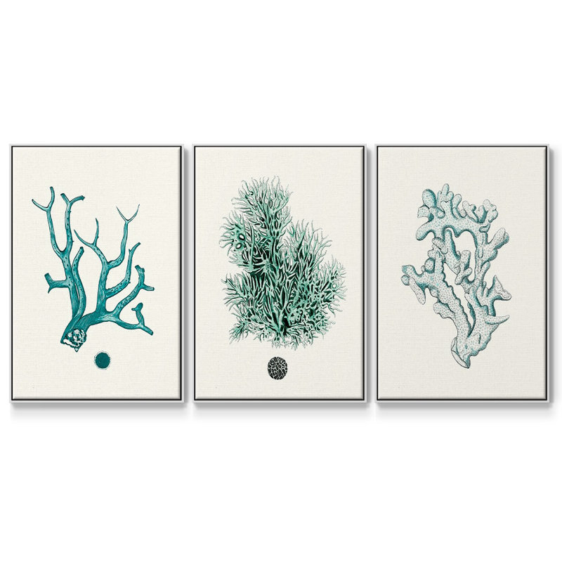 Ensemble de 3 pièces encadrées sur toile Antique Coastal Coral IV, Blanc, H 36 po x l 72 po