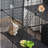 Versatile Pet Playpen for Small Animals with Multiple Features and Comforts