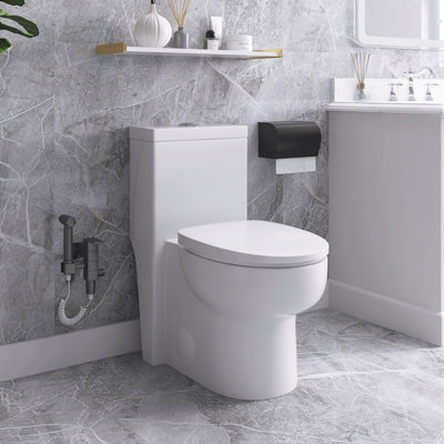 12 Inch One Piece 1.6/1.1 GPF Dual Flush Elongated Toilet In White Seat Included -  Kiddie Furniture, CZLDTO0127W