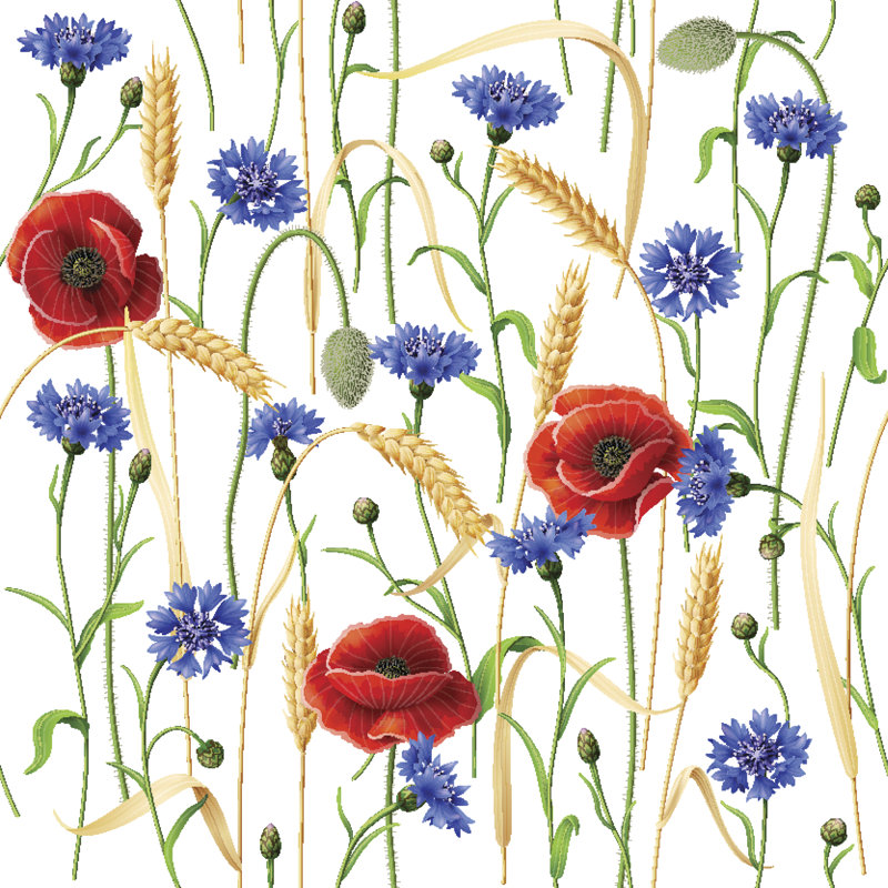 Stoneboro Red Poppies - Wrapped Canvas Print, 30cm H x 30cm W x 3.8cm D